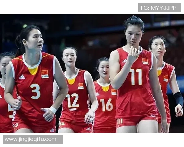 广州排球队实力强劲荣登全国排球实力排行榜第六名