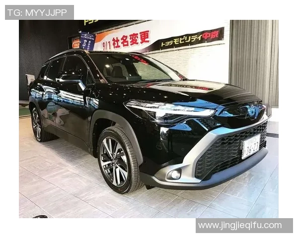 成都羽毛球队在洲际杯积分榜上以65分稳居第一名展现强劲实力