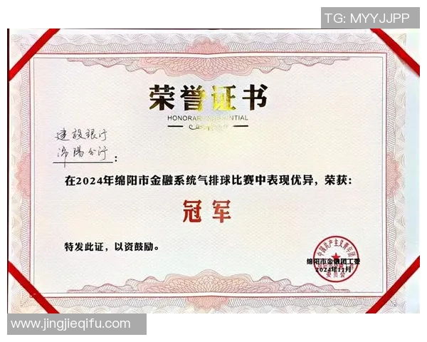 成都排球队实力分析与表现评估探讨